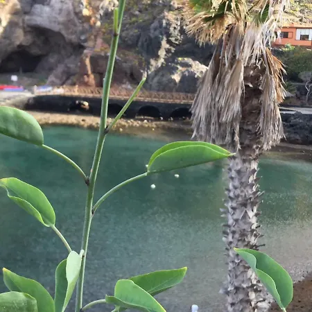 Lima アパート Tamaduste